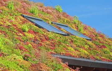 Gospel Green living roof systems