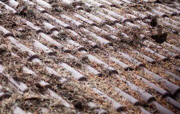 Gospel Green roof cleaning companies